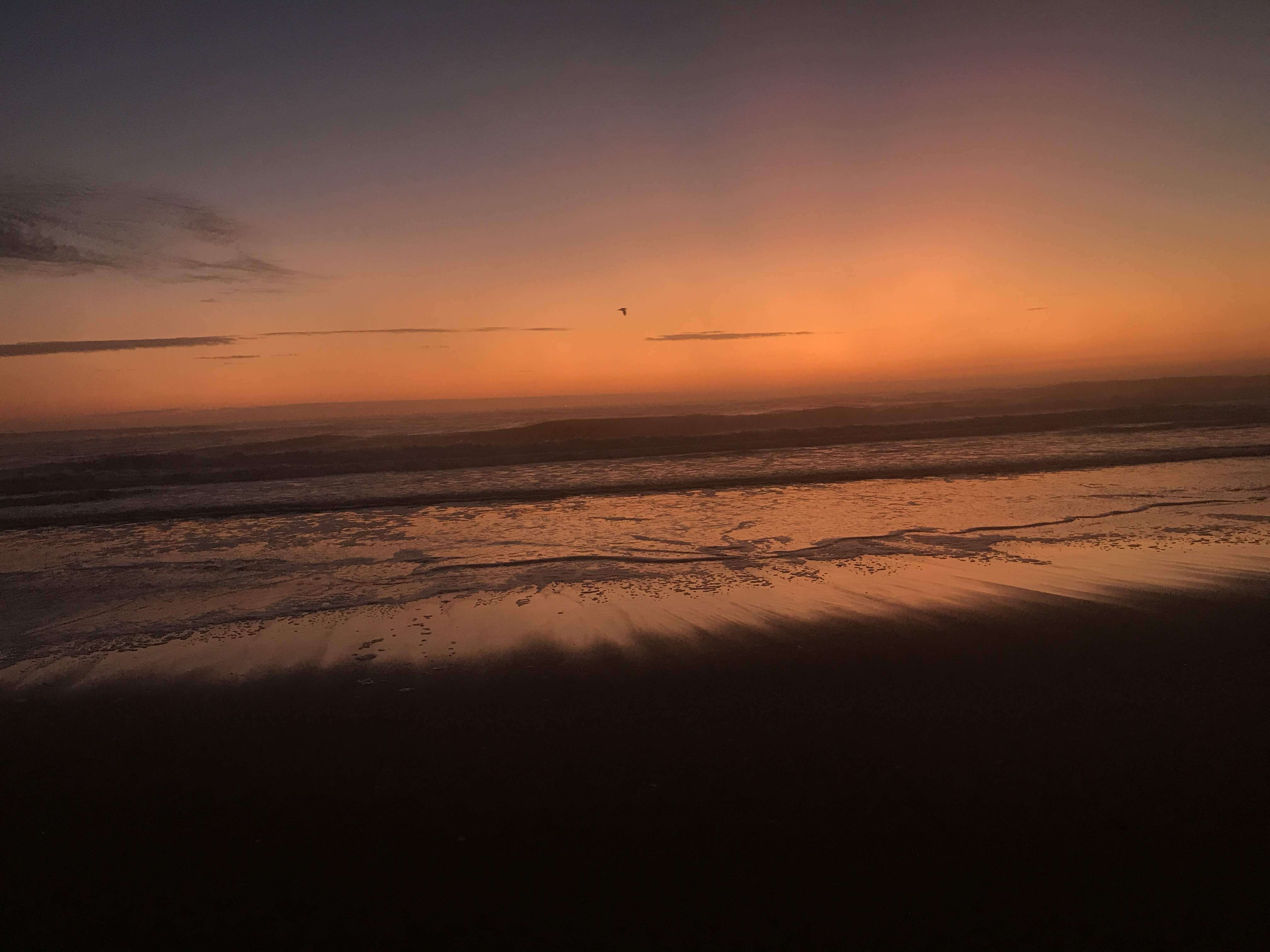 Some gorgeous deep purples, oranges, and yellows over top the ocean waves crashing.