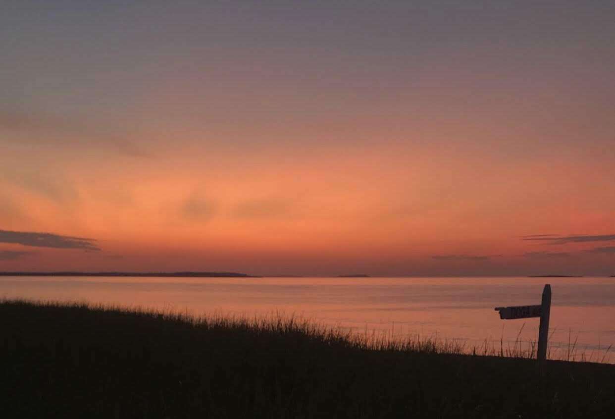 Some insanely beautiful pink and oranges above the ocean, with grass shadowed in front and a sign's silhouette.