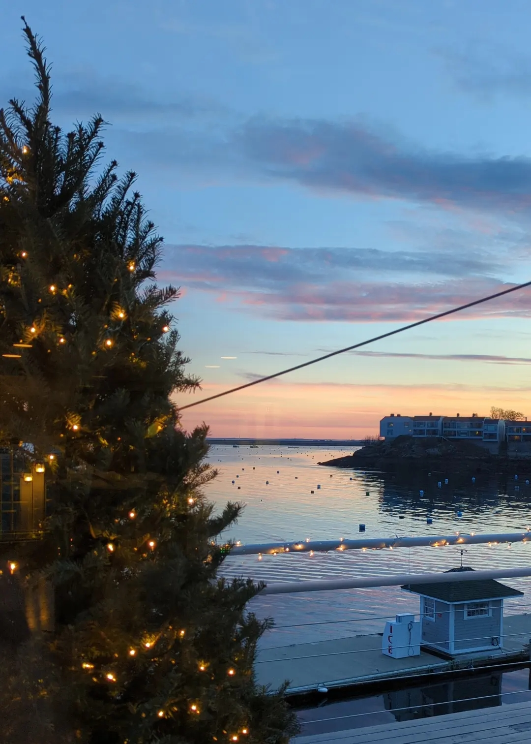 A christmas tree overlooking the sunset above the ocean.