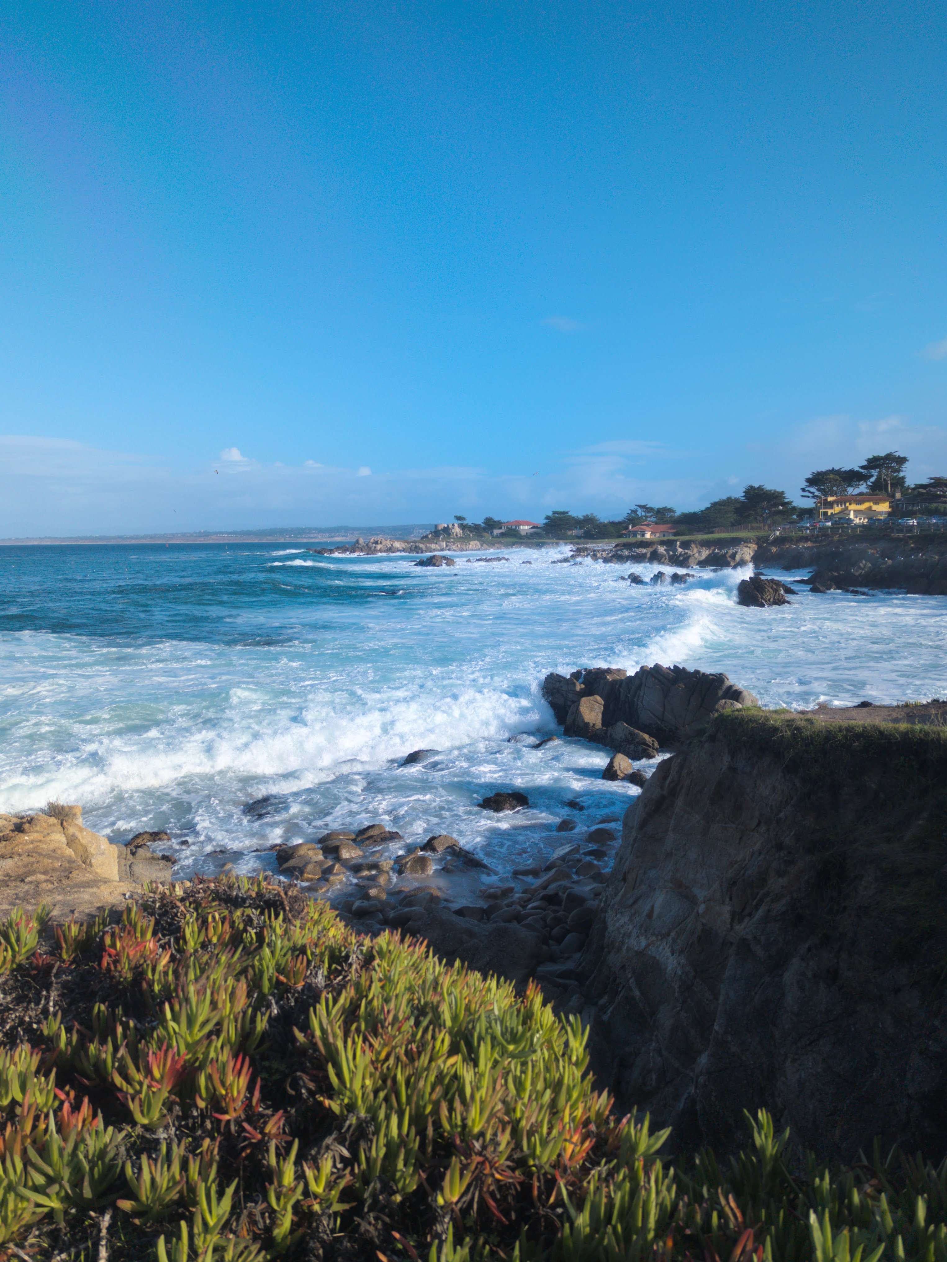 The ocean view on a walk between Pacific Grove and Monterey Bay