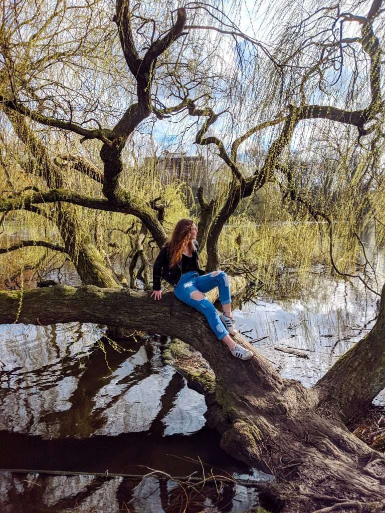 Traveler Liz sitting on a tree in Vondelpark
