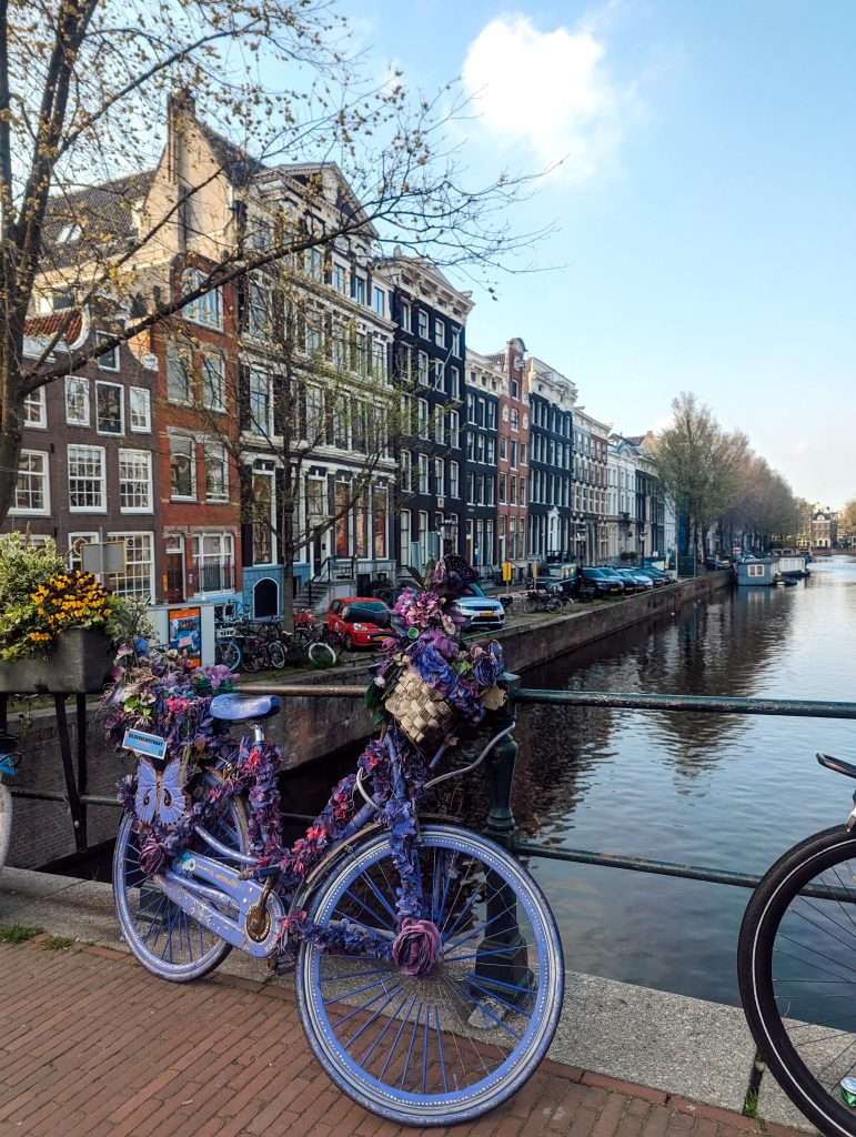 A nice bike with flowers parked on a street in front of the canals in Amsterdam