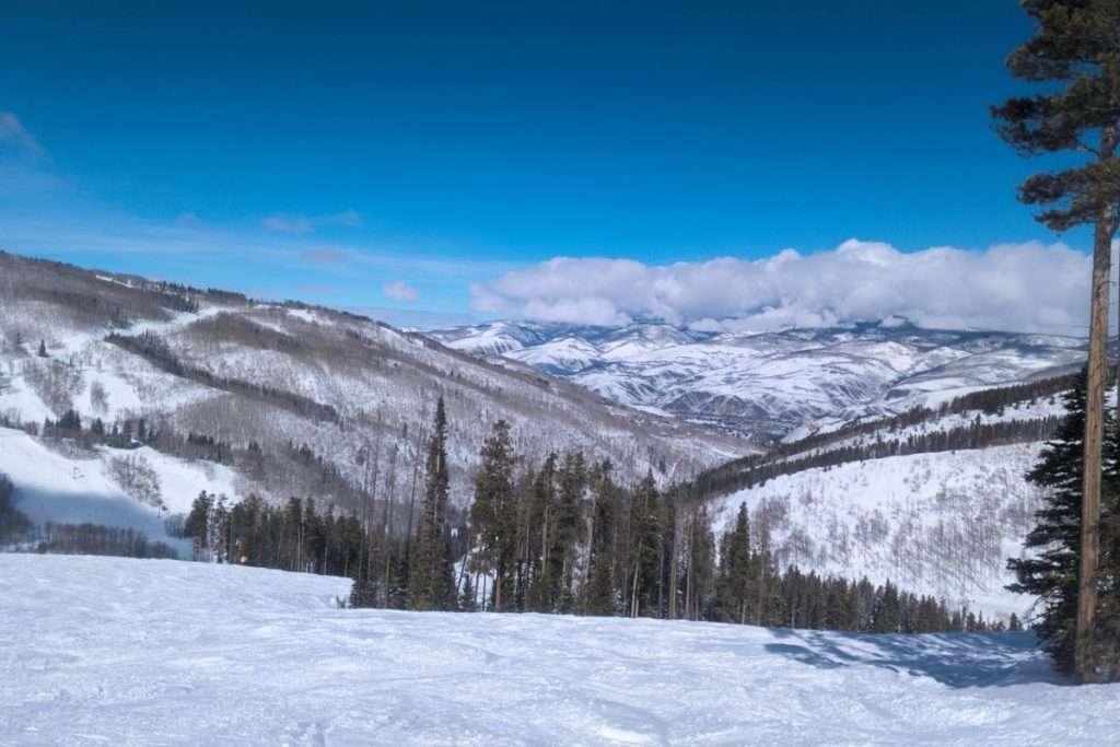 Snow-covered ski slopes and pine trees overlooking the mountains at Beaver Creek Resort, Colorado, on a clear bluebird day.