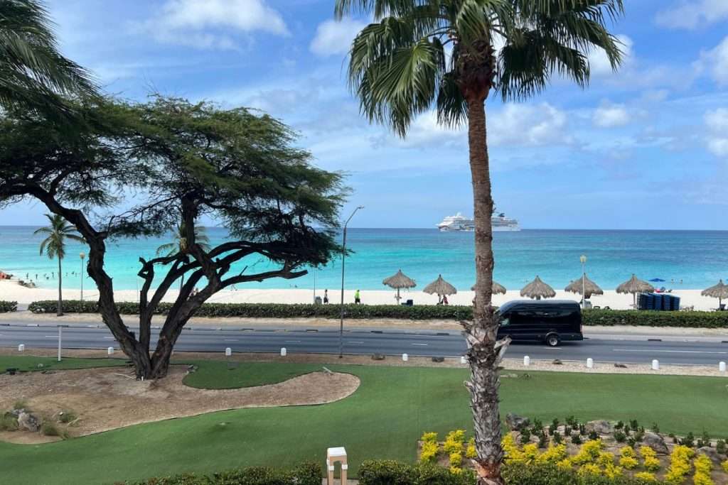 View of Eagle Beach from Divi Village Golf and Beach Resort in Aruba with turquoise water, palapas on the sand, a cruise ship offshore, and palm trees in the foreground.