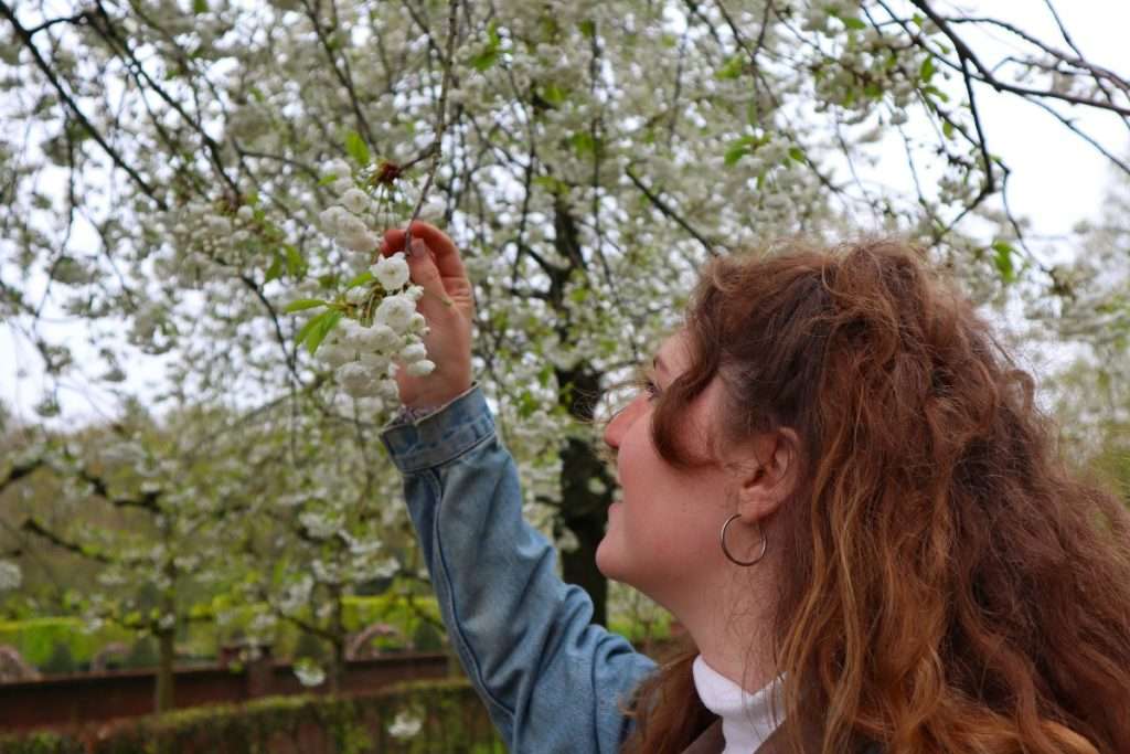  Liz looking at flowers inside Keukenhof during her tour.
