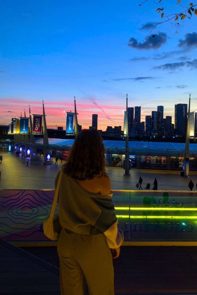 The London skyline from the Tide in East London