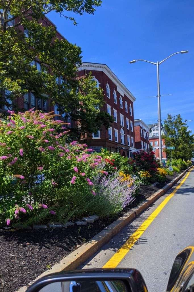 Driving through downtown Salem in the Spring with blooming flowers.